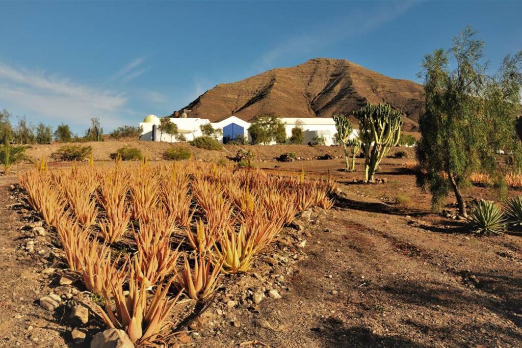 Romantica Fuego - Eco Retreat Finca Artis Tirma Тарахалехо Екстер'єр фото